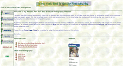 Desktop Screenshot of nybirds.net